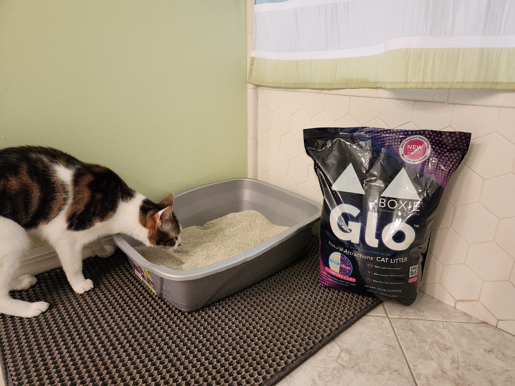 Boxie Cat Litter