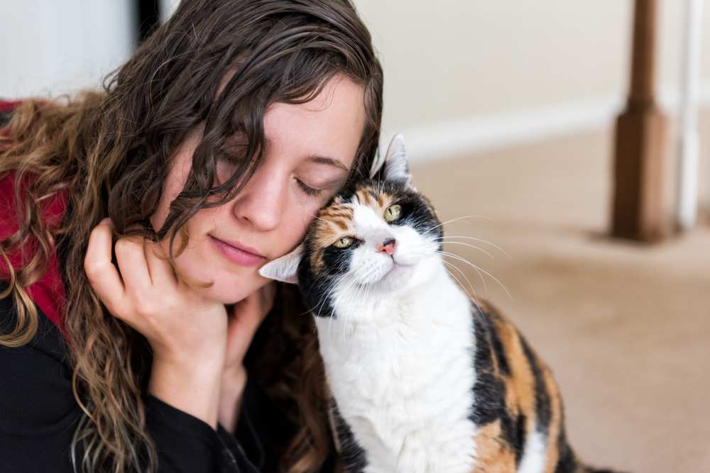 cat rubbing its head to owner's head